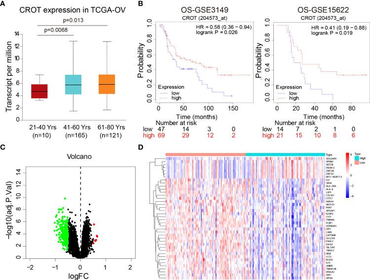 https://cdn.ncbi.nlm.nih.gov/pmc/blobs/d458/9478117/081dcd381004/fendo-13-950345-g002.jpg