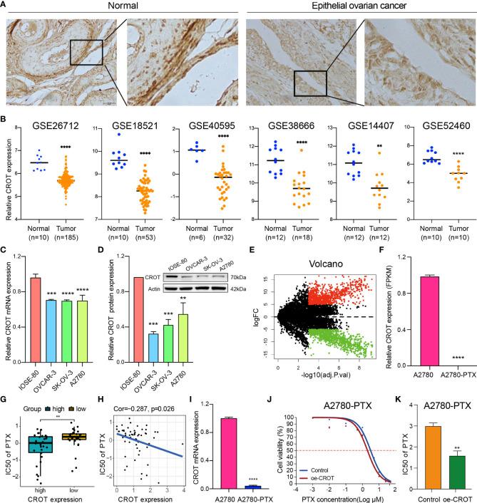 https://cdn.ncbi.nlm.nih.gov/pmc/blobs/d458/9478117/4682a19f76be/fendo-13-950345-g001.jpg