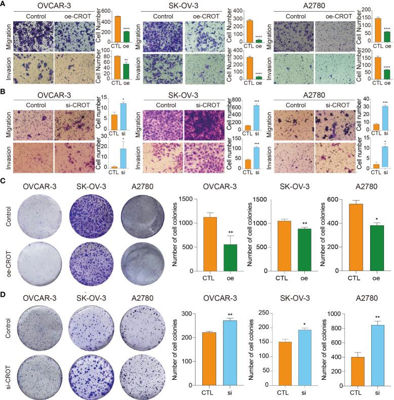 https://cdn.ncbi.nlm.nih.gov/pmc/blobs/d458/9478117/67239ca8be43/fendo-13-950345-g004.jpg