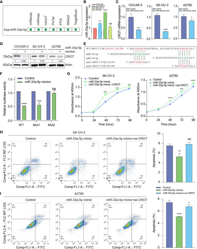 https://cdn.ncbi.nlm.nih.gov/pmc/blobs/d458/9478117/d262607e2558/fendo-13-950345-g006.jpg