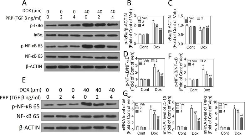 https://cdn.ncbi.nlm.nih.gov/pmc/blobs/d459/8229346/229f2b419e2e/10020_2021_314_Fig4_HTML.jpg