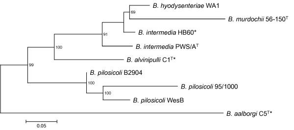 https://cdn.ncbi.nlm.nih.gov/pmc/blobs/d45b/3532143/6fdc4dfa4c26/1471-2164-13-454-1.jpg