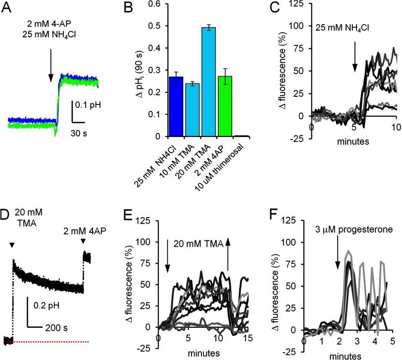 https://cdn.ncbi.nlm.nih.gov/pmc/blobs/d45b/3585060/bc993f01c35e/zbc0141342810001.jpg