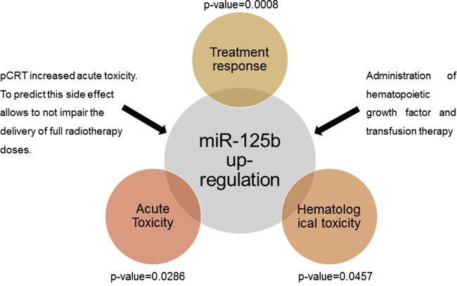 https://cdn.ncbi.nlm.nih.gov/pmc/blobs/d45b/5053752/40a6618986ba/oncotarget-07-28647-g006.jpg