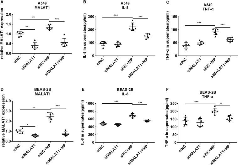 https://cdn.ncbi.nlm.nih.gov/pmc/blobs/d45d/7561720/a46784e1f440/fcell-08-563693-g002.jpg