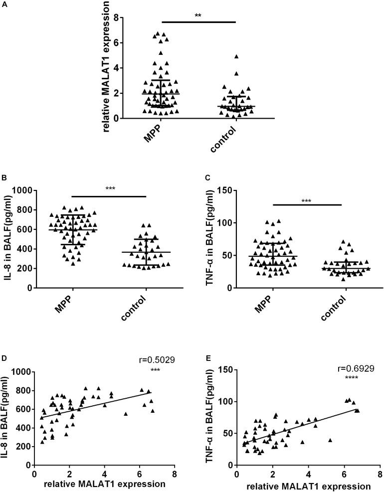 https://cdn.ncbi.nlm.nih.gov/pmc/blobs/d45d/7561720/d122c09d4b7c/fcell-08-563693-g001.jpg