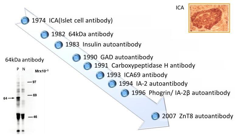 https://cdn.ncbi.nlm.nih.gov/pmc/blobs/d45f/10298549/1daed82d6f90/ijms-24-10012-g001.jpg