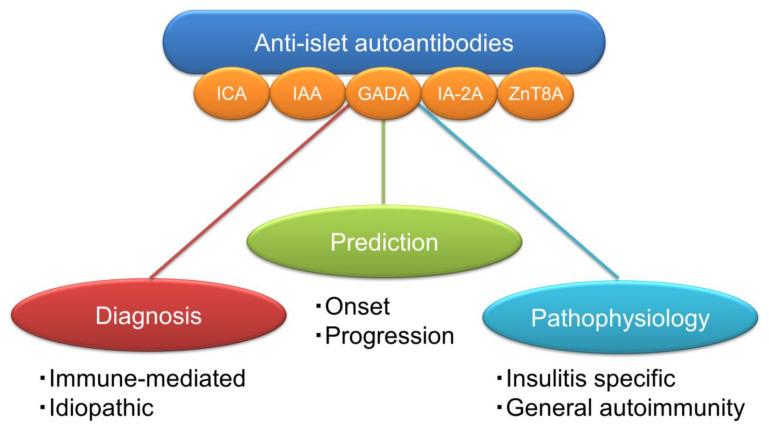 https://cdn.ncbi.nlm.nih.gov/pmc/blobs/d45f/10298549/543b75bbf417/ijms-24-10012-g007.jpg