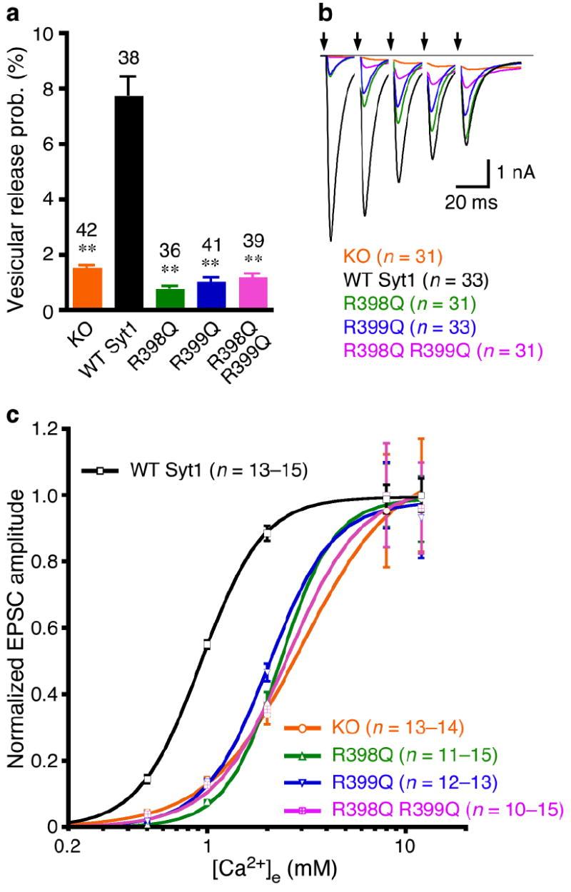 https://cdn.ncbi.nlm.nih.gov/pmc/blobs/d45f/2587052/7d78293b3972/nihms71770f3.jpg