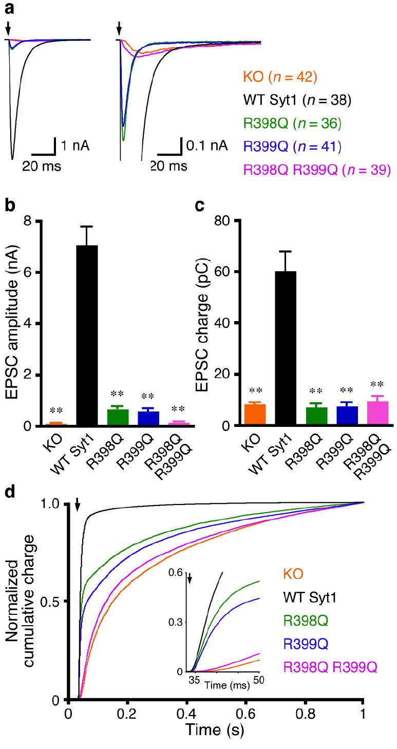 https://cdn.ncbi.nlm.nih.gov/pmc/blobs/d45f/2587052/e2ce16183c18/nihms71770f2.jpg