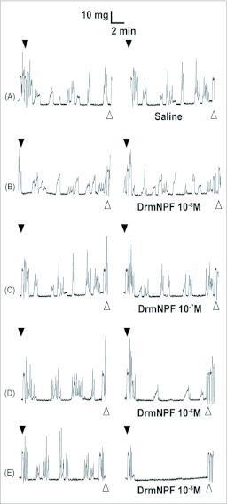 https://cdn.ncbi.nlm.nih.gov/pmc/blobs/d45f/3011914/2083ea9d665d/f01_01.jpg