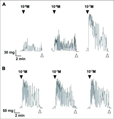https://cdn.ncbi.nlm.nih.gov/pmc/blobs/d45f/3011914/215c9ed49226/f02_01.jpg