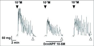 https://cdn.ncbi.nlm.nih.gov/pmc/blobs/d45f/3011914/2d8114ba8414/f03_01.jpg