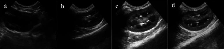 https://cdn.ncbi.nlm.nih.gov/pmc/blobs/d45f/7745219/1f647b3ff795/ao0c03325_0012.jpg