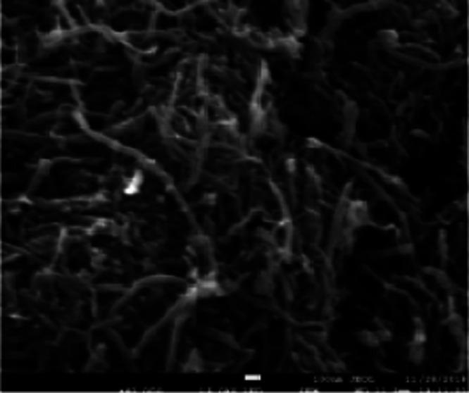 https://cdn.ncbi.nlm.nih.gov/pmc/blobs/d45f/7745219/5f15e622d492/ao0c03325_0003.jpg