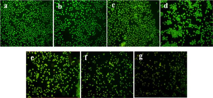 https://cdn.ncbi.nlm.nih.gov/pmc/blobs/d45f/7745219/c03faa341904/ao0c03325_0010.jpg