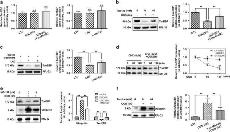 https://cdn.ncbi.nlm.nih.gov/pmc/blobs/d463/4720904/e437ea63f998/cddis2015372f1.jpg