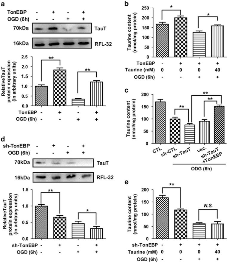 https://cdn.ncbi.nlm.nih.gov/pmc/blobs/d463/4720904/f6031c6795d5/cddis2015372f4.jpg
