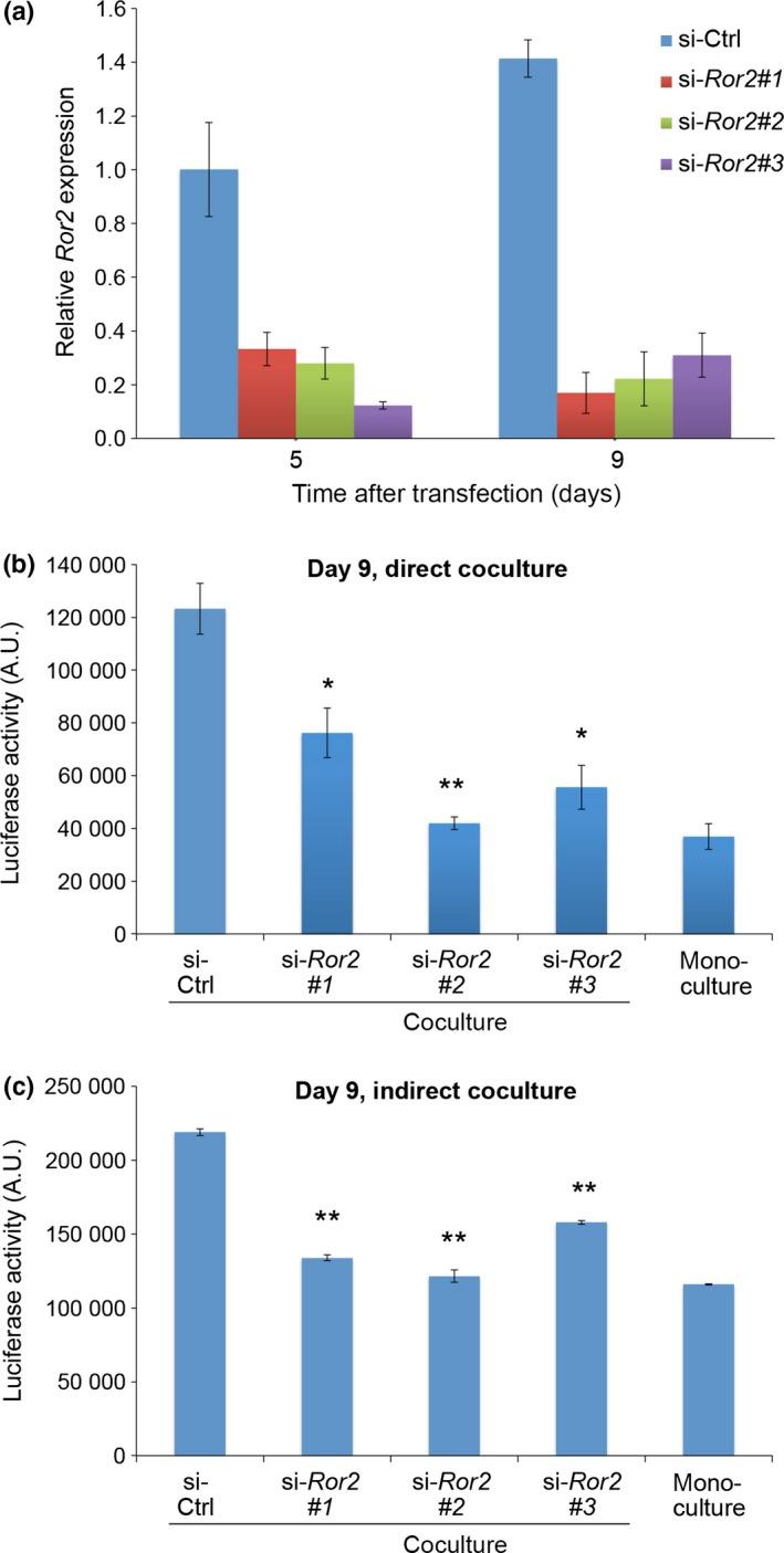 https://cdn.ncbi.nlm.nih.gov/pmc/blobs/d463/4814243/018ab9efedb8/CAS-107-290-g002.jpg