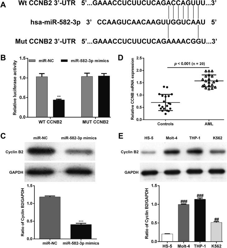 https://cdn.ncbi.nlm.nih.gov/pmc/blobs/d463/6894134/5081b936dc40/11658_2019_184_Fig3_HTML.jpg