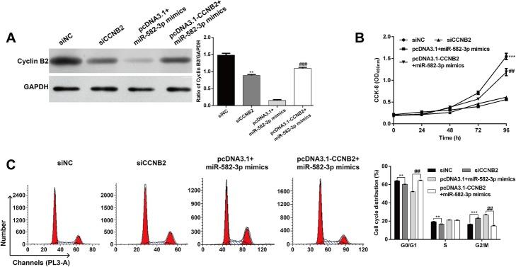 https://cdn.ncbi.nlm.nih.gov/pmc/blobs/d463/6894134/e6d08f336b6b/11658_2019_184_Fig4_HTML.jpg