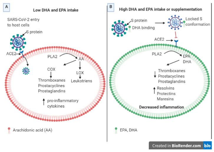 https://cdn.ncbi.nlm.nih.gov/pmc/blobs/d463/7866518/9f4602dbda2f/molecules-26-00711-g003.jpg