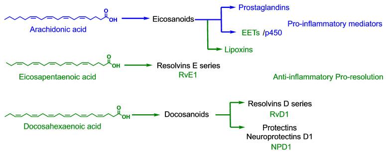 https://cdn.ncbi.nlm.nih.gov/pmc/blobs/d463/7866518/e4c37fe00473/molecules-26-00711-g002.jpg