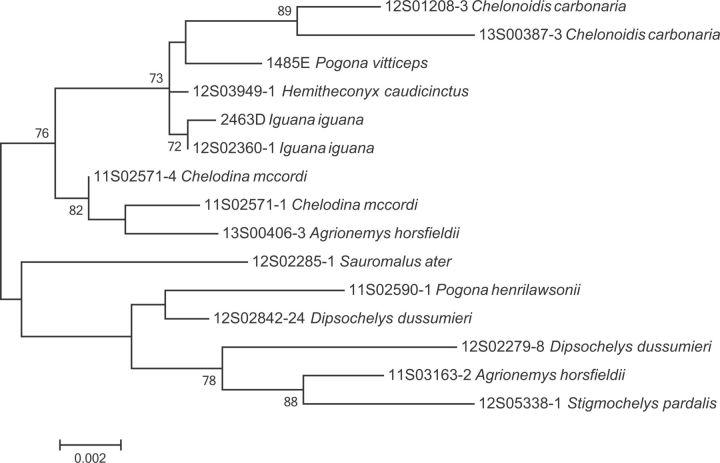 https://cdn.ncbi.nlm.nih.gov/pmc/blobs/d464/5630845/b65411a67848/evw218f2p.jpg