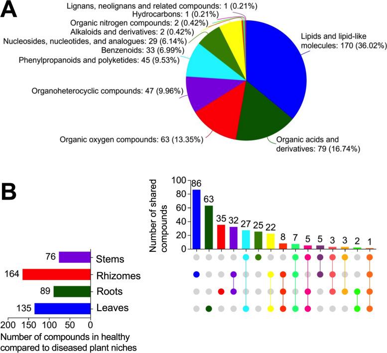 https://cdn.ncbi.nlm.nih.gov/pmc/blobs/d466/11380783/a9b4b79b73ab/40168_2024_1885_Fig6_HTML.jpg