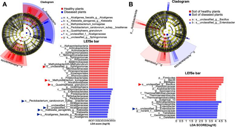 https://cdn.ncbi.nlm.nih.gov/pmc/blobs/d466/11380783/d285ddc14abc/40168_2024_1885_Fig4_HTML.jpg