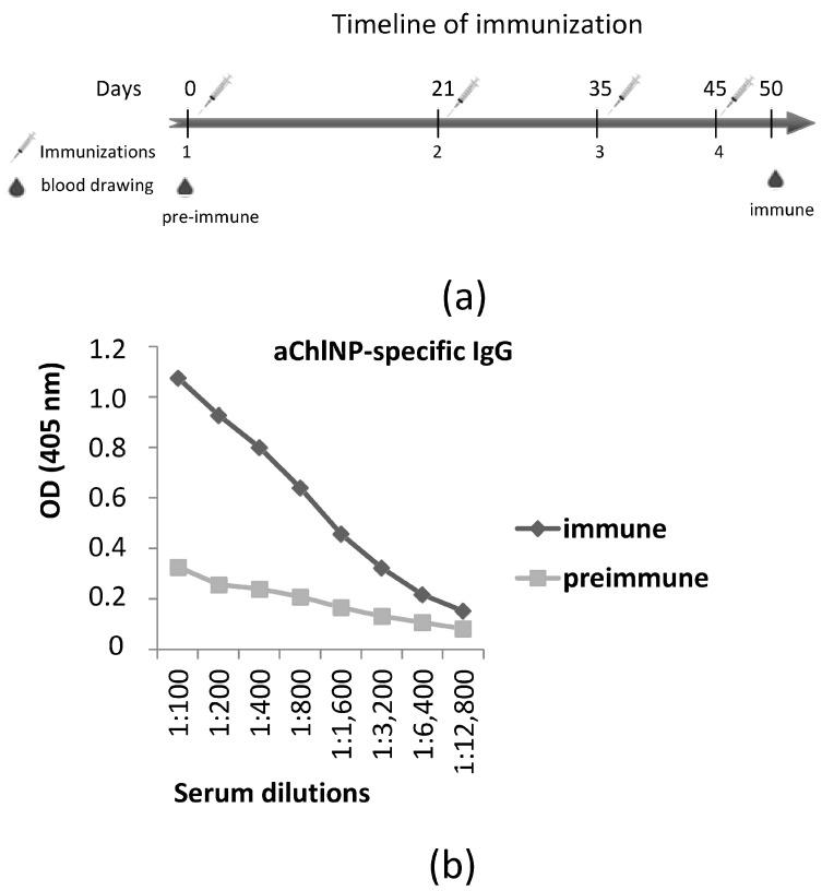 https://cdn.ncbi.nlm.nih.gov/pmc/blobs/d469/10889375/231dd3c94b42/ijms-25-02047-g002.jpg