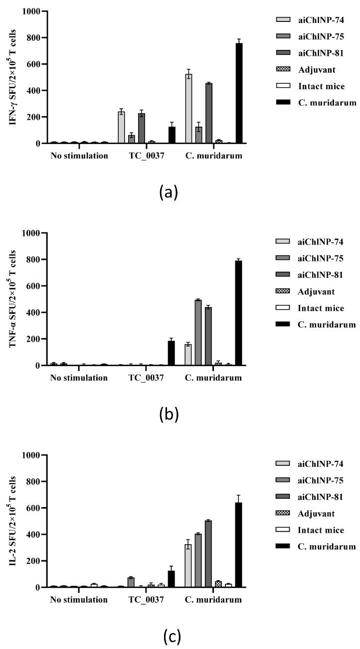https://cdn.ncbi.nlm.nih.gov/pmc/blobs/d469/10889375/c6bc2245b337/ijms-25-02047-g007.jpg