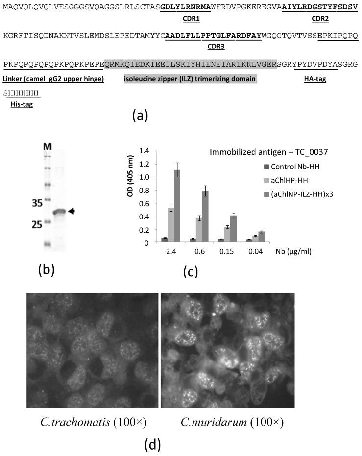 https://cdn.ncbi.nlm.nih.gov/pmc/blobs/d469/10889375/caeee2433833/ijms-25-02047-g001.jpg
