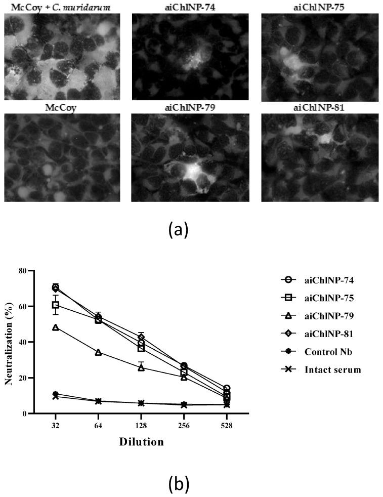 https://cdn.ncbi.nlm.nih.gov/pmc/blobs/d469/10889375/eb3eb5649736/ijms-25-02047-g005.jpg