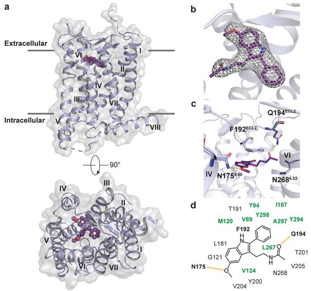 https://cdn.ncbi.nlm.nih.gov/pmc/blobs/d469/6589158/b3f9062c807d/nihms-1525542-f0001.jpg