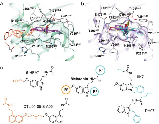 https://cdn.ncbi.nlm.nih.gov/pmc/blobs/d469/6589158/c4b6cad319ad/nihms-1525542-f0003.jpg