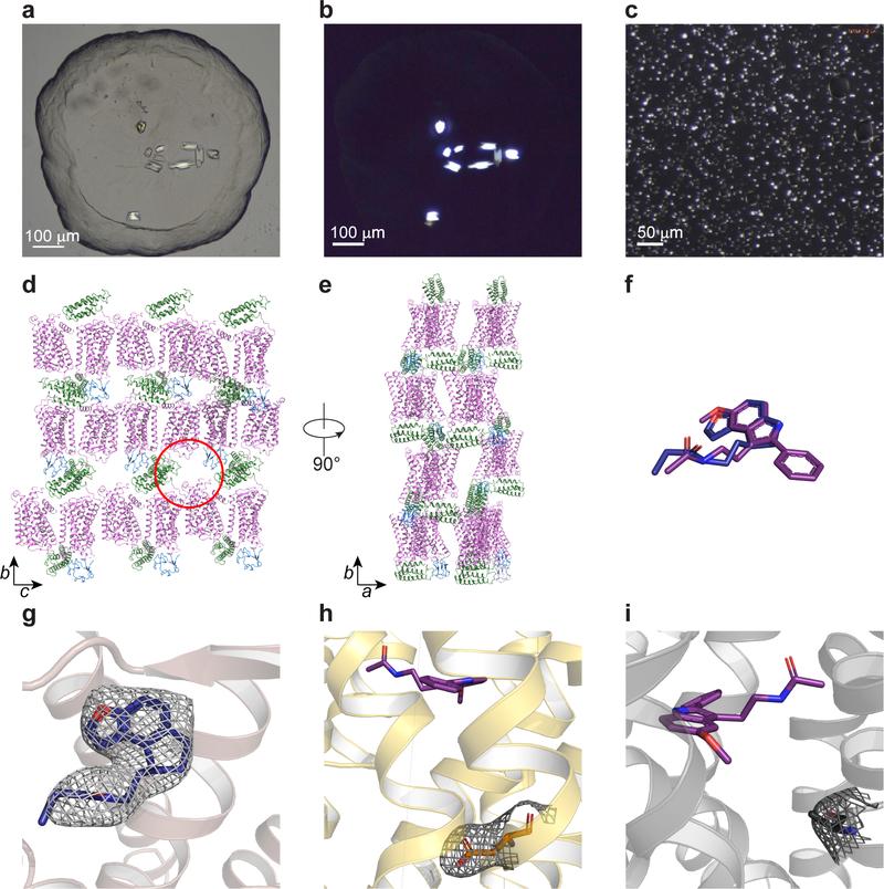 https://cdn.ncbi.nlm.nih.gov/pmc/blobs/d469/6589158/fdc907364de5/nihms-1525542-f0005.jpg