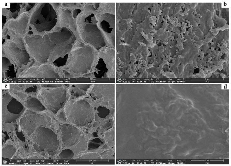 https://cdn.ncbi.nlm.nih.gov/pmc/blobs/d46a/9787997/2839dd926a4c/polymers-14-05543-g001.jpg