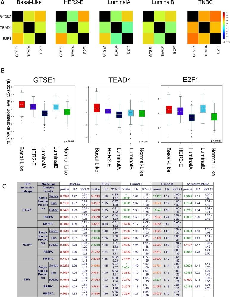 https://cdn.ncbi.nlm.nih.gov/pmc/blobs/d46c/5620183/d4c4f1f0ed02/oncotarget-08-67422-g007.jpg
