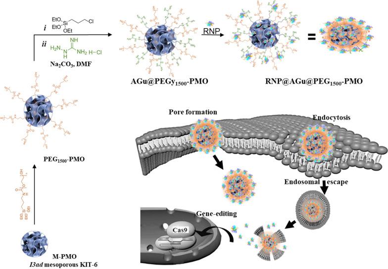 https://cdn.ncbi.nlm.nih.gov/pmc/blobs/d46d/8011395/14d8888a7c28/12951_2021_838_Fig1_HTML.jpg
