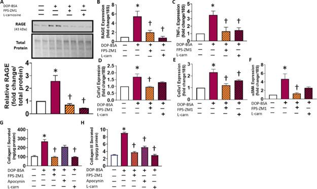 https://cdn.ncbi.nlm.nih.gov/pmc/blobs/d46d/8527521/cac41407ee5a/tx1c00262_0004.jpg