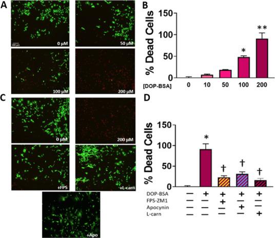 https://cdn.ncbi.nlm.nih.gov/pmc/blobs/d46d/8527521/fa844efe596f/tx1c00262_0005.jpg