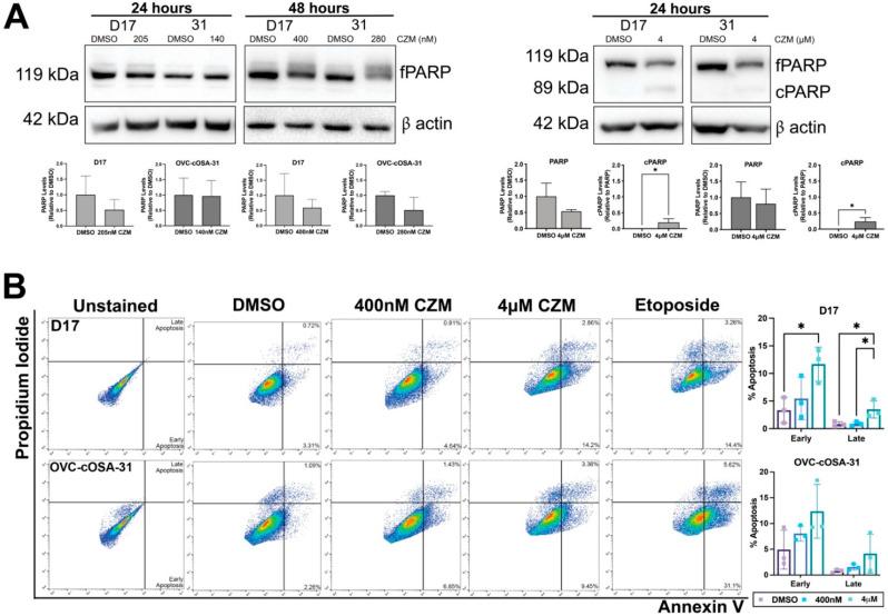 https://cdn.ncbi.nlm.nih.gov/pmc/blobs/d46d/8953151/9143d01ca7ac/ijms-23-03256-g004.jpg
