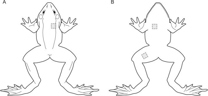 https://cdn.ncbi.nlm.nih.gov/pmc/blobs/d46e/7797633/fe80e0c2e235/ZJLS-186-491-g001.jpg