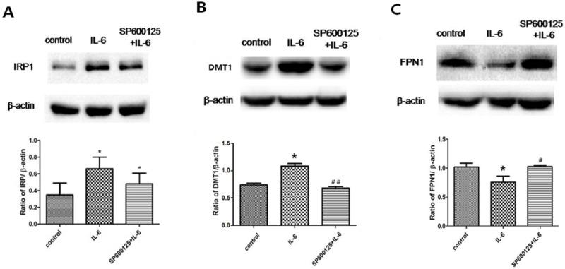https://cdn.ncbi.nlm.nih.gov/pmc/blobs/d46f/5495437/99e5f0690659/pone.0180464.g004.jpg
