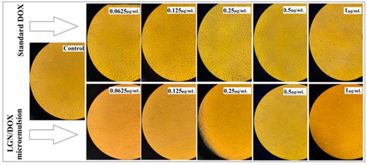 https://cdn.ncbi.nlm.nih.gov/pmc/blobs/d470/7926373/aa9fee8f6ede/polymers-13-00641-g003.jpg