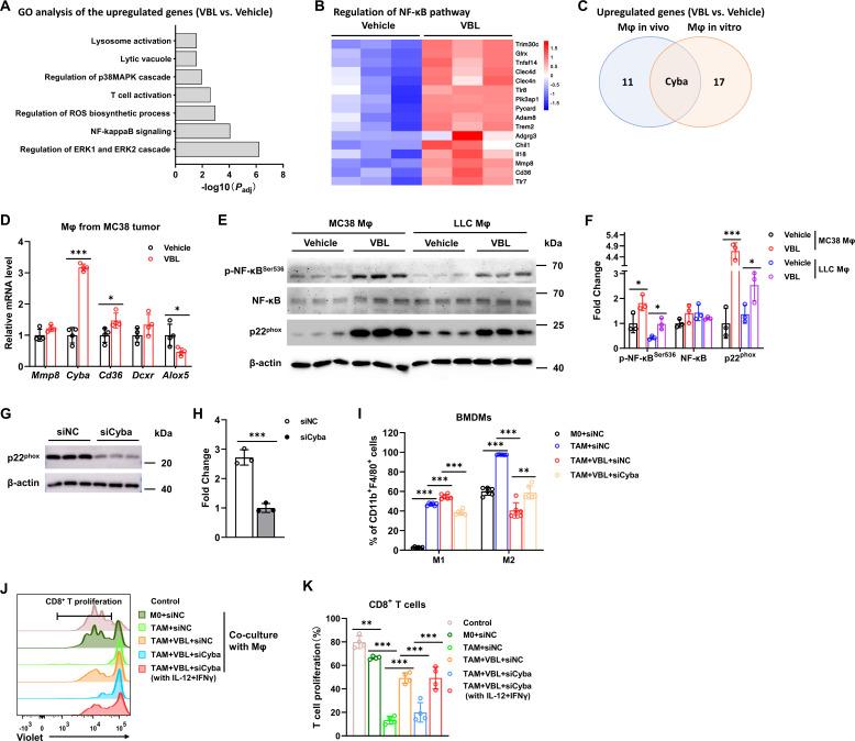 https://cdn.ncbi.nlm.nih.gov/pmc/blobs/d472/10476141/729c17a1c7b0/jitc-2023-007253f04.jpg