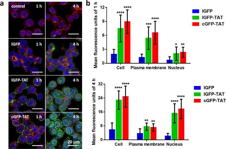 https://cdn.ncbi.nlm.nih.gov/pmc/blobs/d472/7992142/44fa60076eeb/ao1c00532_0005.jpg
