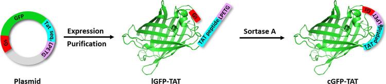 https://cdn.ncbi.nlm.nih.gov/pmc/blobs/d472/7992142/8252f4b4b205/ao1c00532_0007.jpg