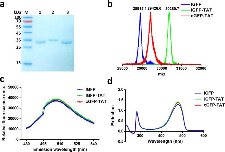 https://cdn.ncbi.nlm.nih.gov/pmc/blobs/d472/7992142/d121420c988c/ao1c00532_0002.jpg